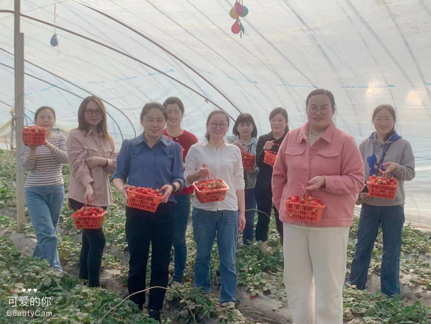 機務(wù)技術(shù)事業(yè)部組織“三八”婦女節草莓采摘活動(dòng)