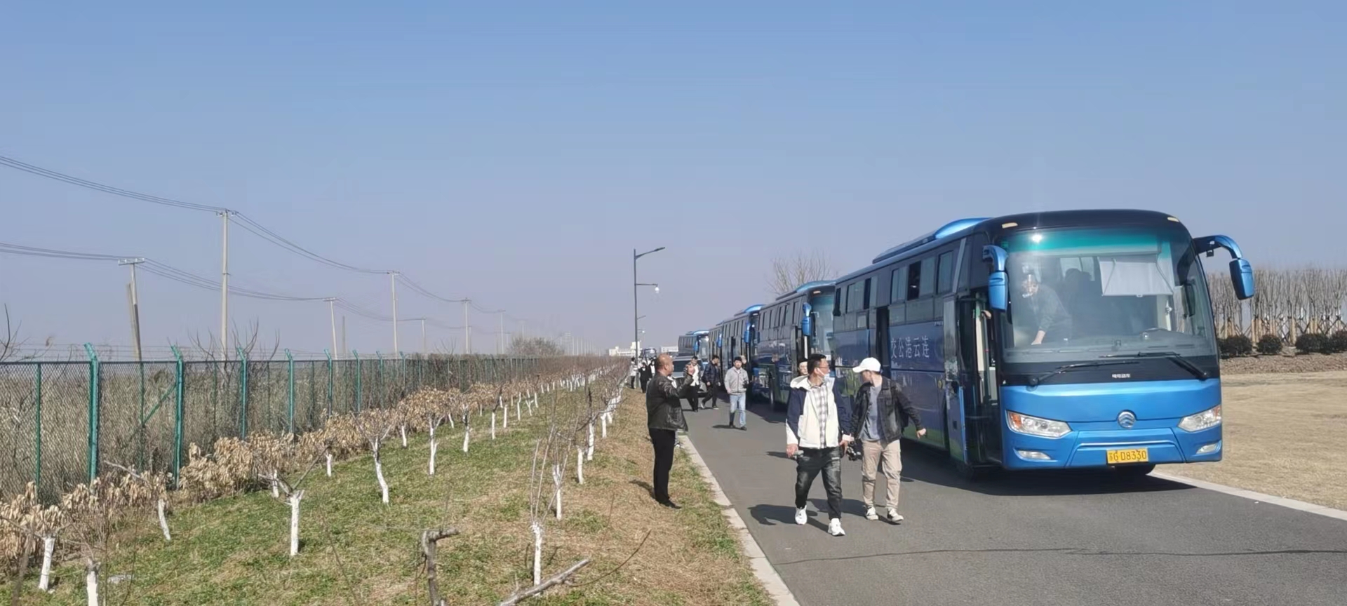 經(jīng)營(yíng)發(fā)展事業(yè)部圓滿(mǎn)完成徐圩管委會(huì )義務(wù)植樹(shù)定制公交運輸保障工作