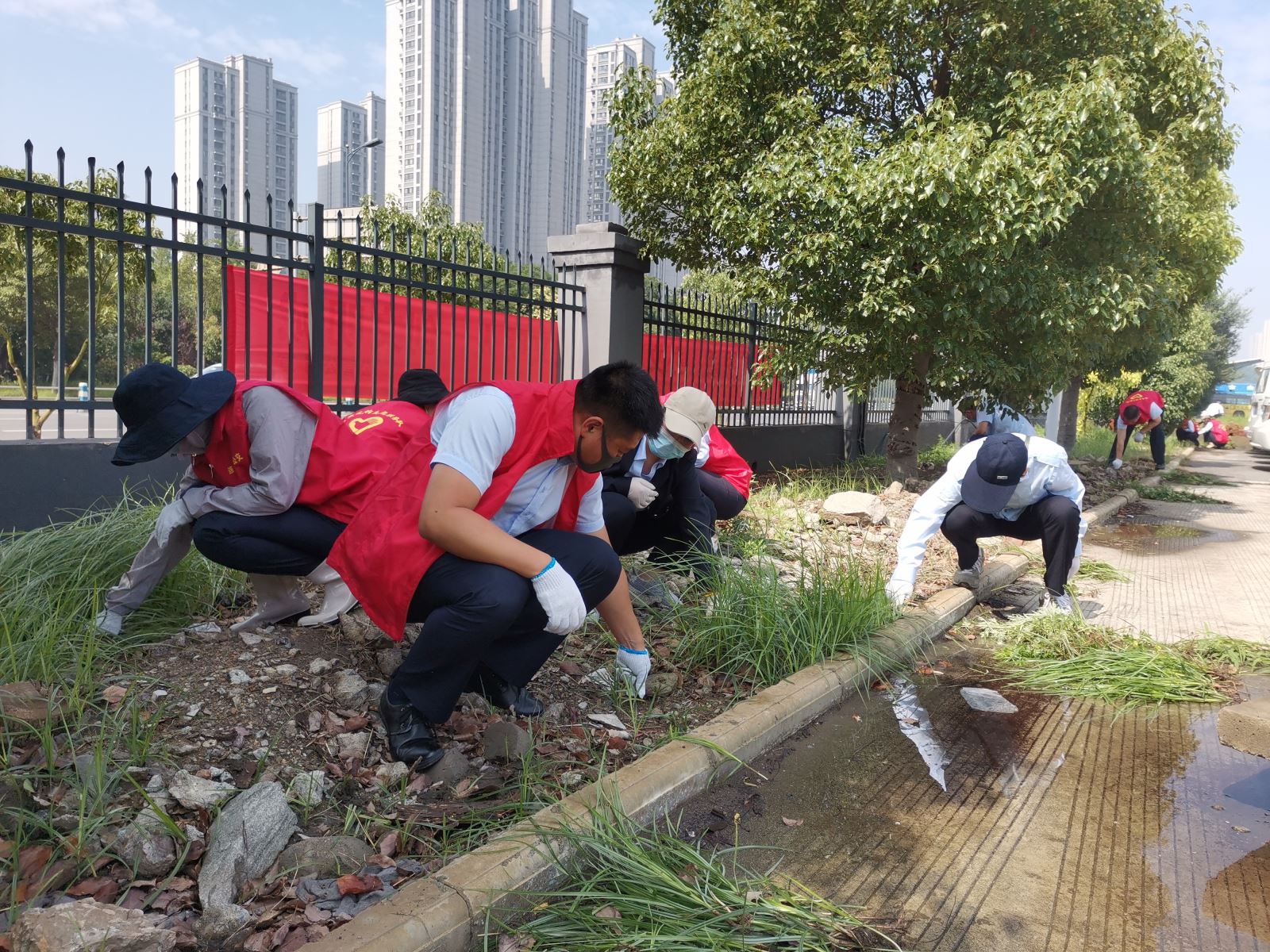 公交集團公交事業(yè)二部組織開(kāi)展拔草義務(wù)勞動(dòng) 助力創(chuàng  )文