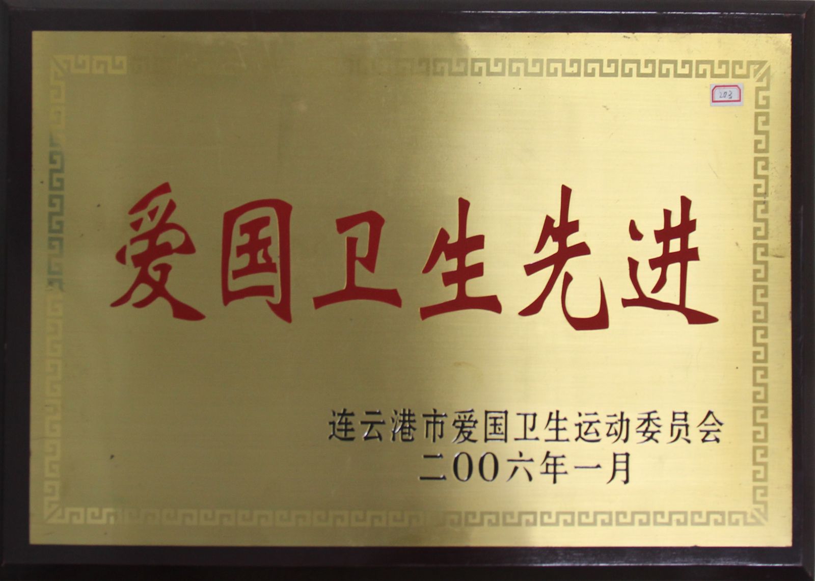 公司榮獲“2006年愛(ài)國衛生先進(jìn)”稱(chēng)號